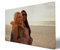 wandmotiv24 Leinwandbild - Foto auf Leinwand mit Online-Vorschau - personalisierte Wanddeko - Bild mit Wunschmotiv - Fotogeschenk - 80x50 cm