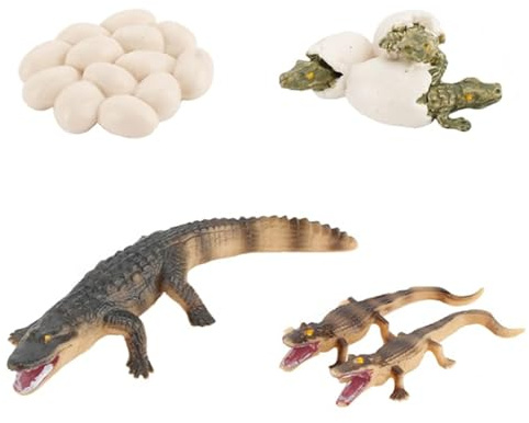 VICASKY 1 Satz Krokodil-wachstums Zyklus Feengarten-Tiere-Figur Krokodil-Ei-Spielzeug Tierfigur Ornament Lernspielzeug Lebenswachstum Puzzle- Kidcraft-spielset PVC