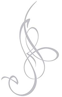 GRAZDesign Fenstertattoo Geschwungene Streifen, Selbstklebende Fensterfolie für Wohnzimmer Bad, Küche, Aufkleber für Glastür & Dusche - 82x50cm / Silbergrau