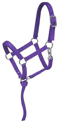 Tough 1 Nylon-gepolstertes Miniatur-Halfter, Violett, Größe M