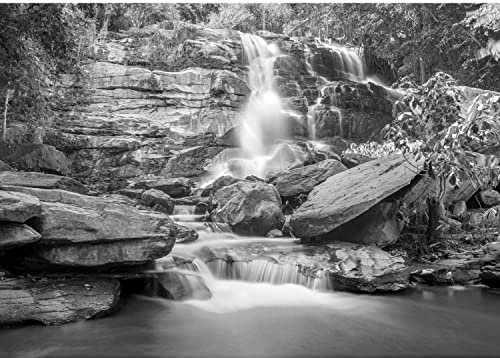 Runa Art Papier Peint panoramique chute d'eau 352 352 x 250 cm Toison Mur XXL Moderne Décoration Murale Salon Chambre á Coucherr Bureau Salle Noir et blanc 9476011c