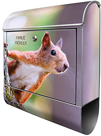 banjado® Design Briefkasten personalisiert Eichhörnchen 38,5x46,5x13cm & 2 Schlüssel - Briefkasten Stahl Silber Zeitungsfach pulverbeschichtet - Postkasten A4 Einwurf inkl. Montagematerial