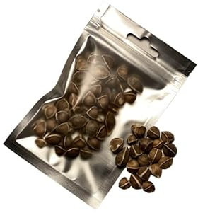 50 Graines de Moringa/Alimentation pour crevette d'aquarium