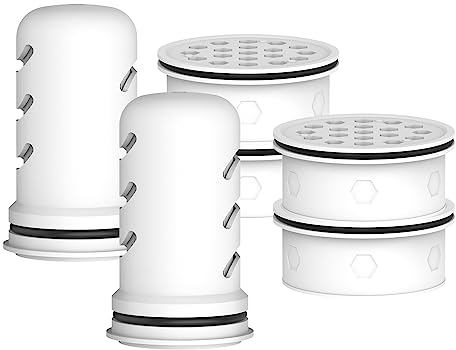 MARRIOTTO Water Filter Replacement for LS Home Dispenser 18 Cup/Glass Pitcher 7 Cup/Plastic Pitcher 10 Cup/Plastic Pitcher 7 Cup, 2 Membrane Micro Filter and 4 Activated Carbon + Ion Exchange Filter