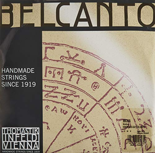 Thomastik-Infeld BC65 Belcanto Double Bass Strings, Single B String, BC65, 3/4 Size, Rope Core Chrome Wound