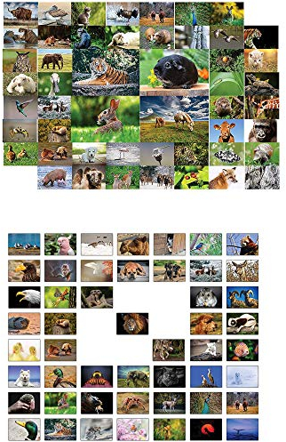 Tiere Postkarten - 100 verschiedene Tierpostkarten-set ideal für Sammler und Postcrossing