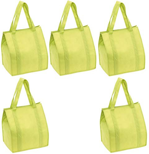 Preiswert&Gut 5 x Kühltasche Groß Einkaufstasche 35x25x38 Reißverschluss Stoffbeutel Hellgrün