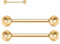 hengkaixuan G23 Titan Nippel Ringe 14G Nippel Bars Gold Nippel Schmuck 1 Paar mit Innengewinde Brücke Barbell Zunge Ringe für Frauen Mädchen 12mm