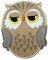Aufnäher Bügelbild Aufbügler Iron on Patches Applikation Eule 5,5 x 6,7cm Farbe: Hellbraun