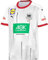 DHB Puma Handball Home Shirt Erwachsene S - XXL Deutsche Nationalmannschaft White Chilli Pepper, Größe:XXL