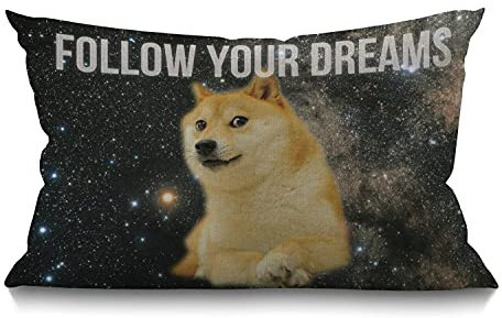 Smooffly Space Doge Farmhouse Rechteckiger Wurfkissenbezug Follow Your Dreams Lendenkissen Bezug Modern Farmhouse Kissen Fall Home Decor für Wohnzimmer Terrasse Sofa Couch Stuhl 30,5 x 50,8 cm