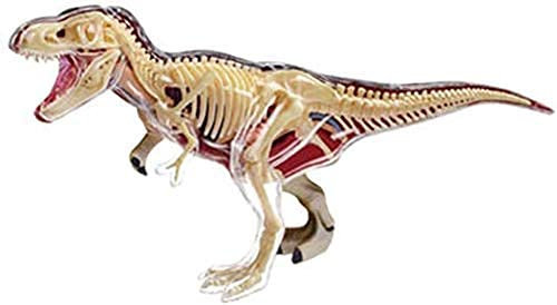 DYTAH 4D Vision Organ Anatomie Dissection 3D Puzzle Modell Biologie Wissenschaft Von 8 Jahren
