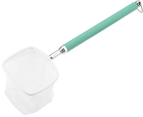 Aquarium Kescher Fischnetz Ausziehbare Teleskop Fisch Garnelen Angeln Kescher mit Edelstahl Griff für Aquarien Aquarium Fische Garnelen (Grün Quadratisch)