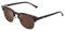 CLANDESTINE - Sonnenbrille Highbrow Gold Habana Brown - Braune HD Nylon Gläser und Kunststoffrahmen - Sonnenbrille für Männer & Damen - Smart Vision Technology - Bessere Sicht und Geringere Blendung
