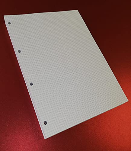 100 Blatt (200 Seiten) mit 4 Löchern im Format A4 20,5 x 29,2 cm. für großen Ordner mit 4 Ringen - kariert 4 mm. - für 1. Klasse, Papier 120 g/m²