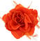 Topkids Accessories Rose Flower Hair Clip Hairband Floral Corsage Fascinator Hair Band Aligator Beak Grip for Women & Girls Wedding Prom Party Special Occasion (Neon Orange)