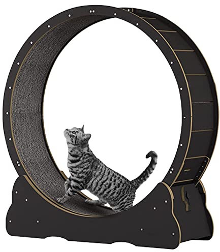 Katzenrad -Übende für Innenkatzen, großes Katzen -Laufrad -Laufband mit austauschbaren Griffpads, Verriegelungsmechanismus, TPE stille und geräuschlose Rollen Pet Pet Smooth Run frei,Black-L
