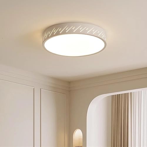 Plafoniera Led Soffitto Moderna Rotonda 24W Lampadario 3000k Luce Calda 1400LM Lampada Led Soffitto Ø30cm Adatto Per Camera Da Letto, Cameretta,salotto,garage,Bagni,Corridoi,Uffici,Sale Studio