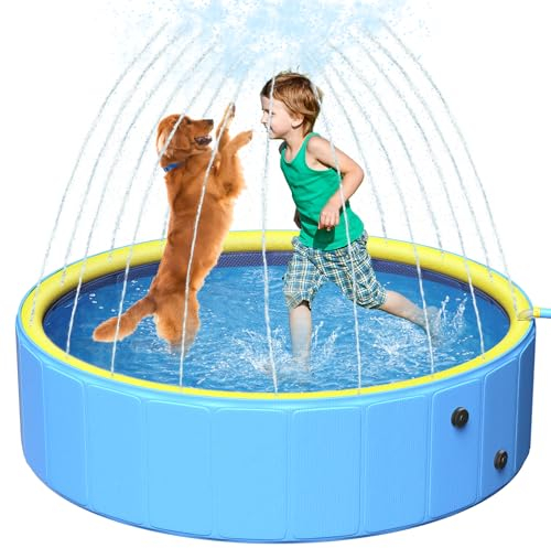 Großer Hund Schwimmbad, Tierschwimmbad