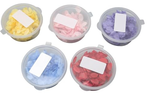 5 Set Gepresste Trockene Blüten mit 5 Leuchtenden Farben, Dekorative Faser Getrocknete Hortensien Blütenblätter für DIY -Handwerk, Kunsthandwerk, Harzjudenherstellung, Make -up