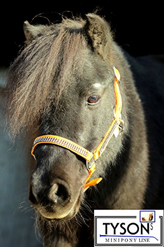 Tysons Breeches Glitzer wie Strass Halfter Nylonhalfter Orange Minishetty Shetty Jährling Pony VB WB EXF (Kaltblut) (WB Warmblut)