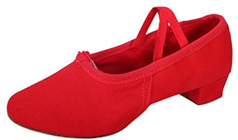 Allbestop Escarpins Rose Fushia,Chaussures Compensées Femme Semelles Talon Genou Sandale Large Chausson Hotel Mules Femmes Talon Chaussons Femme 39(Rouge,36)