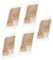 SPARES2GO Filtros antiincrustantes de hierro compatibles con repuestos de generador de vapor Morphy Richards, 01011, paquete de 5