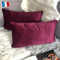 Douceur De Plumes 2er Set Kissenbezug Pflaume Burgunder Samt 40x80 cm Einfacher, weicher und moderner rechteckiger Kissenbezug für Wohnzimmer Skandinavisches lila, lila Sofa (2 Pflaumen)
