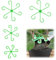 4 PCS Plant Supports for Indoor Plants, 4 Sizes Climbing Houseplant Stem Support Stakes, Reusable Plastic Stem Holders for Climbing Plants Thriving Growth for Thriving Growth Accessories (Green)