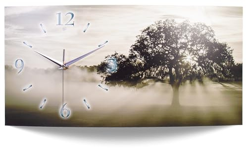 Kreative Feder „Natur“ Designer-Wanduhr mit leisem Funkuhrwerk – Handarbeit Made in Germany (WA170, 80x40cm leises Funkuhrwerk)