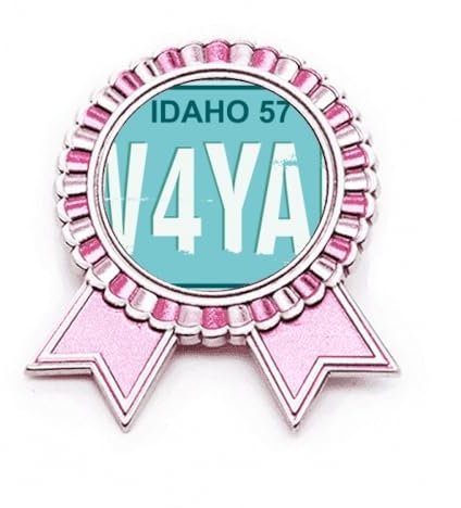 American USA Car Licence Plate Number Badge Brooch Pin Pink Winner Award Medal