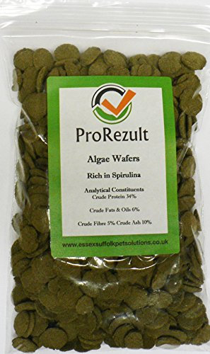 PROREZULT Algae Wafer Tablets with 6% Spirulina Content. Pack of 200g Tropical Marine Aquarium Pleco, Catfish, Cichlid, Bottom Feeder Fish Food Feed