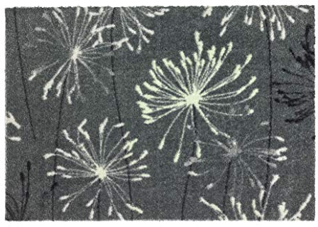 Schöner Wohnen Kollektion Fußmatte innen - Schmutzfangmatte 67x100cm Pusteblume grau-Mint - rutschfeste Sauberlaufmatte robust - Fussmatte Haustür - Türmatte waschbar bei 30°C