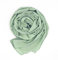 WANSSY® moderner Chiffonschal lang Schal Stola Tuch für Hochzeit Abendkleid in verschiedenen Farben Größe L (Pistachio)