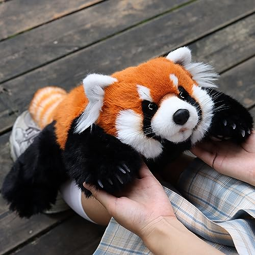 Chongker Plüsch Kuscheltier Roter Panda 70cm – Roter Panda Plüschtier für Erwachsene und Kinder – Flauschiger Stofftier Panda zum Spielen, Sammeln & Kuscheln – Gemütliches Schmusetier