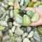 FANTIAN 2,3 kg grüne Flusssteine für Pflanzen, 5,1 - 7,6 cm große Kieselsteine für Zimmerpflanzen, dekorative Steine für Sukkulenten, Landschaftsbau, Vasen, Basteln und Garten