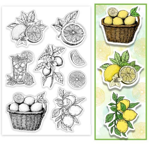 PH PandaHall Transparente Stempel für Kartenherstellung Obst Getränke Transparente Silikonstempel DIY Scrapbooking Dekorationen Papier Basteln Stempel für Journal Karte Scrapbooking Fotoalbum