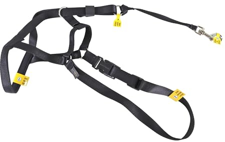 Coastal Pet Walk 'n Train Dog Head Halter - Head Colllar Dog Leader - No-Pull Pet Harness - Quick-Drying Polyester - Black - Medium