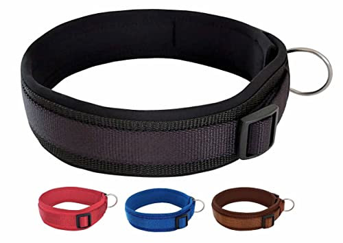 BUDDYPACK | Bequemes Hundehalsband | Extra-Breit mit Neopren-Polster | Für Kleine, Mittlere und Große Hunde | (L (50-55 cm), Schwarz)