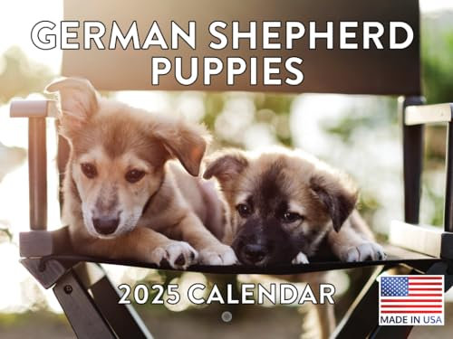 Deutscher Schäferhund Kalender 2024 Welpe Wandkalender Niedliche Welpen
