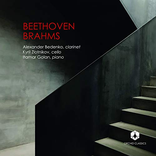 Ludwig van Beethoven, Johannes Brahms