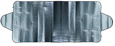 PAT Europe B.V. Alu Scheibenabdeckung Silber Frontscheibenabdeckung Sonnenschutzfoli (100 x 255 cm)