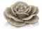 CERERIA PARMA Candela Rosa Tea Grande Candela Decorativa Cera Tortora Ø18 H10 cm
