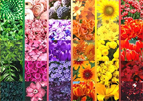 Brain Tree - Flower Grid 1000 Piece Puzzle for Adults: With Droplet Technology for Anti Glare & Soft Touch