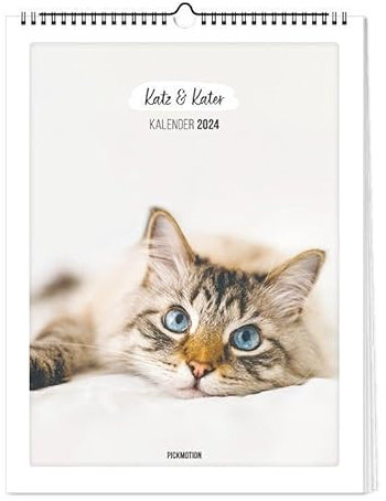 Kalender 2024 - Katz & Kater