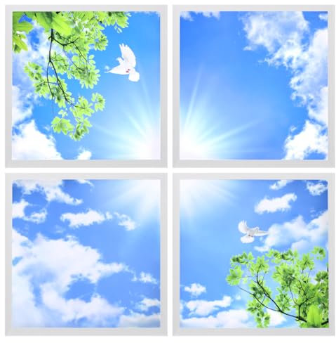 Long Life Lamp Company Blue Sky LED Ceiling Panel 600 x 600 Sun Birds Cloud Sky Scene Recessed Office Light with Transformers 4 Set SKY03F