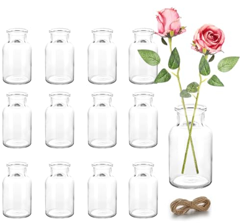 Liemuao Lot de 12 Vases en Verre, Mini Vase à Fleurs avec Ficelle de Jute, Vase Transparent Bouteilles en Verre pour Plantes Hydroponique Decoratif Centre de Table Mariage