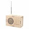 Children's Electronics Project DIY FM Radio Kit Safe and Enjoyable Activity