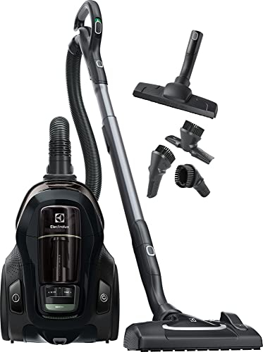 Electrolux Pc91-Green 650 W Aspirateur Réservoir Cylindrique Sec Sans Sac - Aspirateurs (650 W, Aspirateur Réservoir Cylindrique, Sec, Sans Sac, Filtrage, 72 dB)
