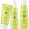 Marlies Möller SET Vegan Pure
